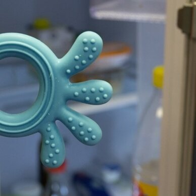 Babyono silicone teether OCTOPUS blue 826/03 6