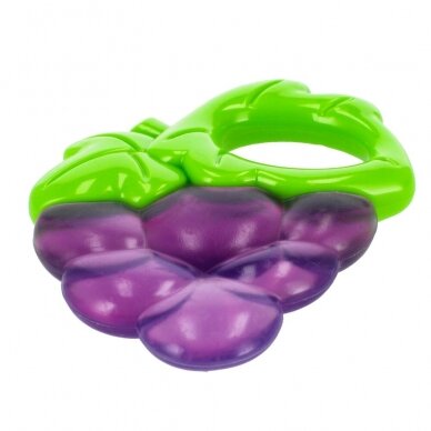 BamBam teether grapes b/c 430928 2