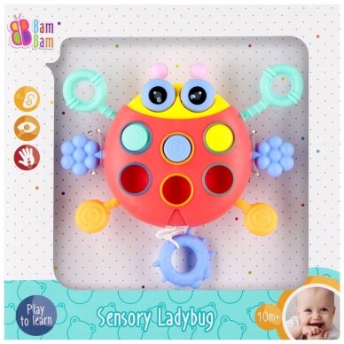 BamBam sensory toy ladybug 541611 3