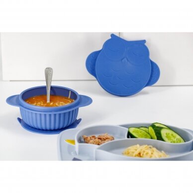 INNOGIO GIOFRESH TABLEWARE OWL SNACK BOWL WITH LID GIO-910BLUE 4