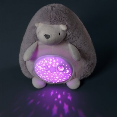 HEDGEHOG HUGO Toy projector, 480  1