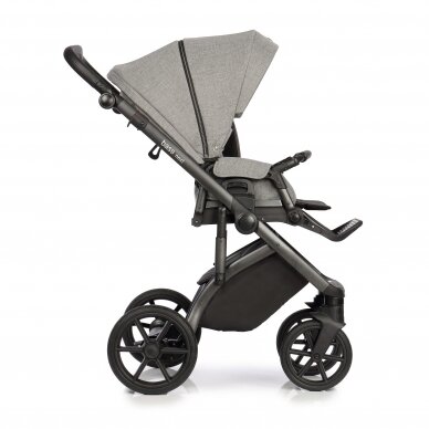 Roan stroller Bass Next 2/1 Titanium 1