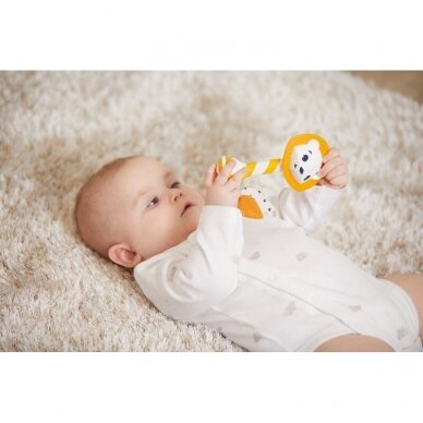 Tiny Love tiny smarts leonardo teether rattle  4