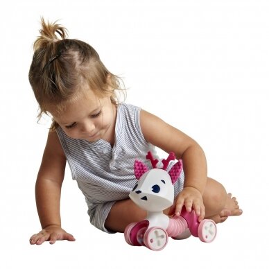 Tiny Love tiny rolling toys florence  3