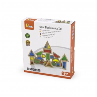 VIGA Color Blocks 24pcs Set 44563 2