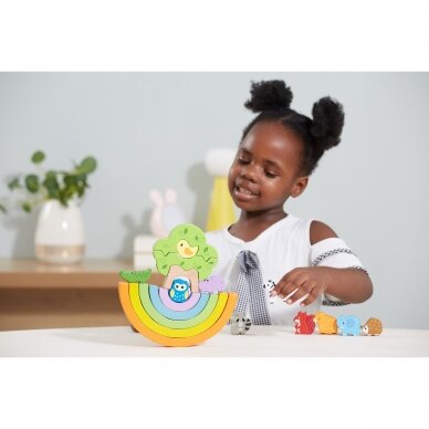 VIGA Rainbow Balancing blocks 44590 4